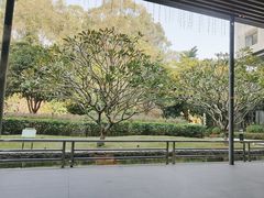 -南宁荔园维景国际酒店·荔园中餐厅