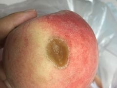 -果多美(三里河店)