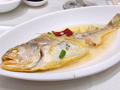 清蒸小黄鱼-湖锦酒楼·旗舰店(三阳总店)