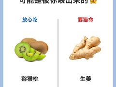 -猫十亿·布偶金渐层·曼基康矮脚猫舍(青年路店)