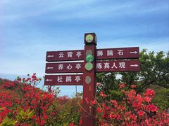 -大围山国家森林公园