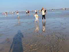 -南汇嘴观海公园