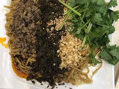 宜宾燃面-邓老汉燃面村(水井街店)