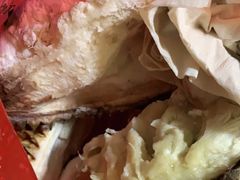 -三亚新鸿港水果一级批发市场