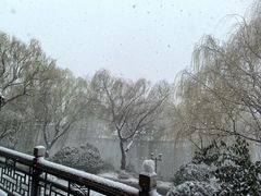 -鹊华居·地道鲁菜·海鲜·融合味(大明湖店)