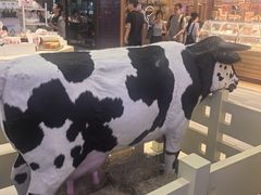 -红星前进面包牛奶公司(君太店)