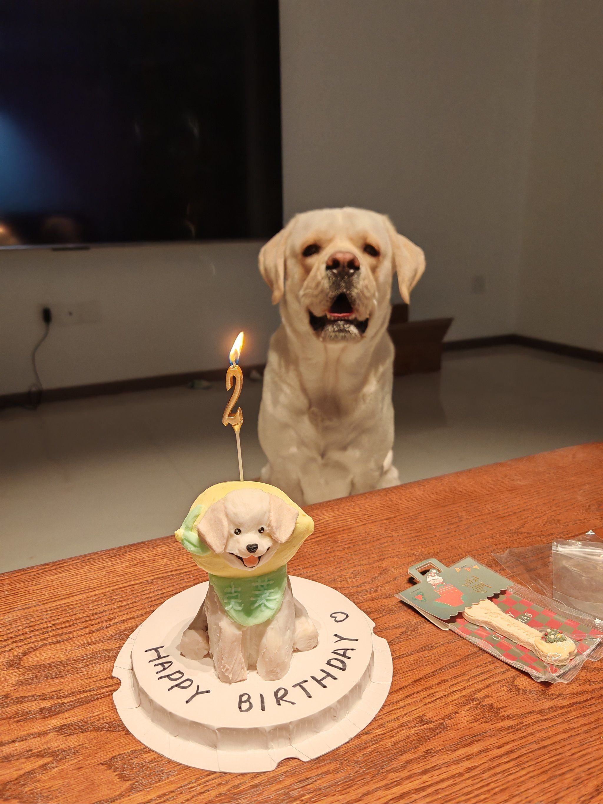 狗狗的快乐生日time