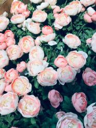 -华卫思理轻奢造型