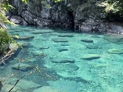 -石台牯牛降景区