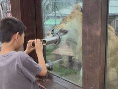 -横道河子东北虎林园