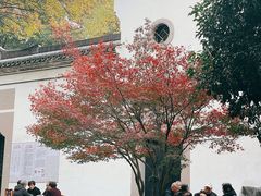 -孝子祠公园