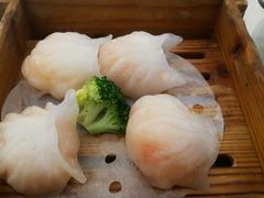 龙的至尊虾饺皇-龙的酒楼·手工早茶·顺德菜(近良路店)