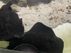 -嘉兴海底世界