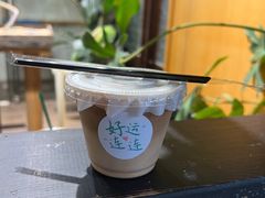 -吉丁鸟咖·异宠·寄养