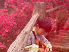 -木兰云雾山