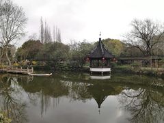 -上海醉白池公园