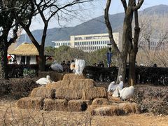 -无锡动物园·太湖欢乐园