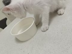 -美联众合24小时·皮肤科·外科·全科诊疗中心(华苑分院)