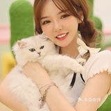 猫咖探店，和猫咪一起分享下午茶。
