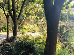 -广州市白云山风景名胜区