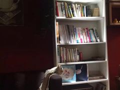 -PIZZERIA大黄鸭披萨