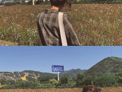 -大连铭湖国际观光牧场