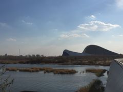 -哈尔滨大剧院