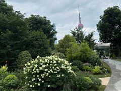 -北外滩滨江绿地