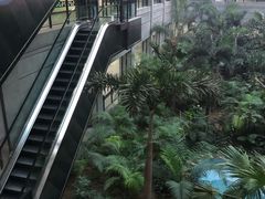 -黑龙江中医药大学附属第一医院