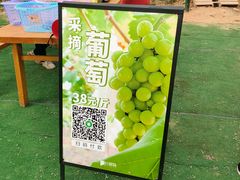 -长洲岛都市农业公园