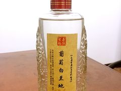 -永康市康源葡萄园