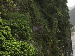 -太鲁阁公园