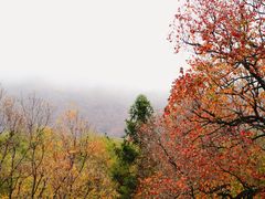 -塔川景区