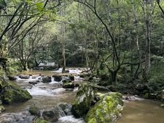 -牛背梁国家森林公园