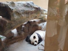 -宁波野生动物园