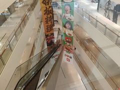-岭南站NOVA