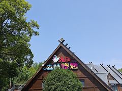 -东平国家森林公园