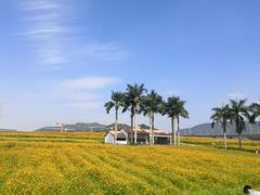-光明小镇欢乐田园