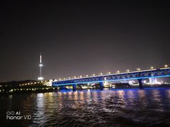-武汉两江游览·夜游长江(汉口粤汉码头)