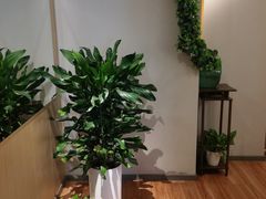 -青曼SPA·按摩·采耳·足道(龙之梦店)