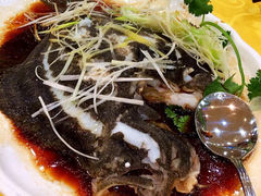 多宝鱼-渔民新村(番禺总店)