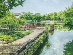 -西溪国家湿地公园