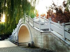 -洛阳市隋唐城遗址植物园