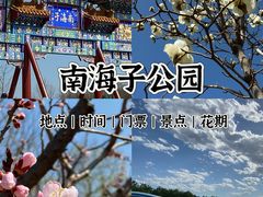 -南海子公园