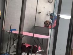 -宠福鑫康馨动物医院·骨科·眼科