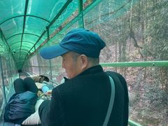 -灵栖洞天