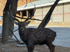 -大连武术文化博物馆