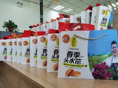 -潘祥记鲜花饼(科技路旗舰店)