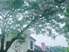 -绍兴书圣故里景区