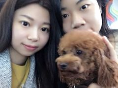 -CIAO·团建聚餐·生日派对轰趴馆(福田店)